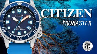 Citizen Promaster Diver EO202806L [upl. by Ardolino577]