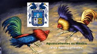 Aguascalientes Pelea de Gallos en San Marcos Juan S Garrido [upl. by Viola]