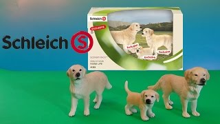 Schleich Golden Retriever Family Farm Life Dogs Review Animal Toys [upl. by Eidarb341]