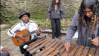 Zamba surreal marimba Cover Guardarraya [upl. by Edmunda]