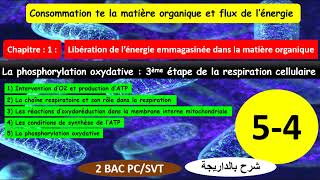 La phosphorylation oxydative شرح بالداريجة partie 54 [upl. by Ebneter]