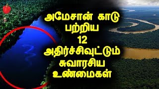 அமேசான் காடு பற்றிய 12 அதிர்ச்சிவுட்டும் சுவாரசிய உண்மைகள்  Amazon forest in tamil  Kudamilagai [upl. by Hefter]