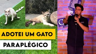 ADOTEI UM GATO PARAPLÉGICO E 2 CACHORROS  O PAI DOS GATOS [upl. by Pernell]