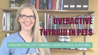 Overactive Thyroid in Pet Pancreatitis Cat Tumors Loose Stools and Asthma  Ask Dr Angie Krause [upl. by Papagena940]