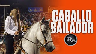 🐴🟠 Caballo Bailador Costarricense de Paso  RysolTV [upl. by Iney827]