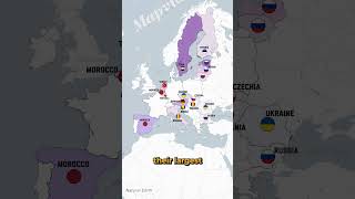 Which EU Countries Take the Most Migrants shorts fyp geopolitics statistics geography map [upl. by Aloiv]