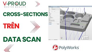 Bài 4 Hướng dẫn cách tạo Cross Sections trên PolyWorks [upl. by Giltzow854]