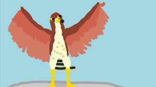 Recreated Haast’s eagle harpagornis sounds [upl. by Aicined]