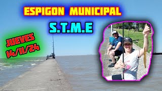 ESPIGON MUNICIPAL STME 🟢 ZONA CAJON [upl. by Ahtelat]