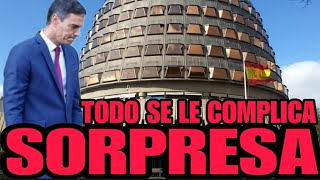 🔥BOMBAZO EN EL CONSTITUCIONAL🔥EMPIEZAN LAS RENUNCIAS por la AMNISTÍA de Pedro Sánchez [upl. by Ylsel]