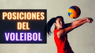 Posiciones de los Jugadores de Voleibol [upl. by Benedick49]