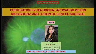 Egg Activation and fusion of genetic material in sea urchin CSIR UGC NET Dr Gayatri Acharya [upl. by Adlesirg]