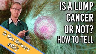 How to Tell if My Dogs Lump is Cancer or Not [upl. by Luz]