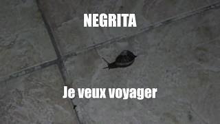 quotJe veux voyagerquot de Negrita [upl. by Clower]