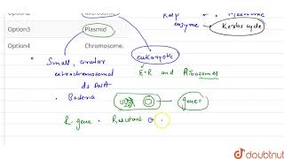 Extrachromosomal DNA ofbacteria is [upl. by Lightfoot]