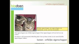 Biodoen  eigenschappen en chromosomen 1 van 5 [upl. by Barr11]