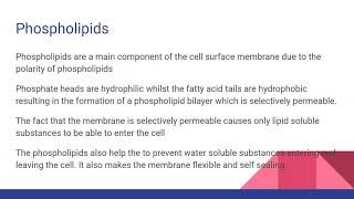 STRUCTURE OF THE CELL MEMBRANE For AQA OCR and Edexcel A level Biology [upl. by Able]