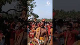 Parkkadi pooram 2024 പാർക്കാടി പൂരം shorts 3  melam [upl. by Ykcub]