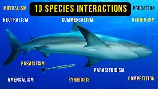 10 Species Interactions in Ecosystem with ExamplesEcology 6 Minutes [upl. by Esilehc866]