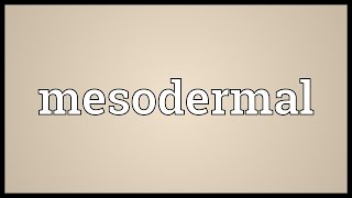 Mesodermal Meaning [upl. by Nudnarb]