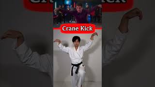 Crane Kick Tutorial｜Cobra Kai amp Karate Kid [upl. by Yurik]