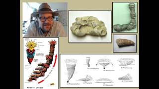 What are Cnidarians and what has their fossil record revealed about the history of life [upl. by Emilee809]