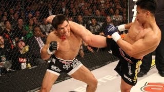 Cung Le  11 Fights  All Strikes  Deadly Strikers  Part 2 [upl. by Aissilem]