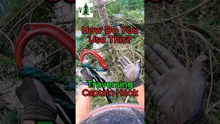 Tree Removal TIPS and TRICKS Captain Hook climbing skills [upl. by Alper]