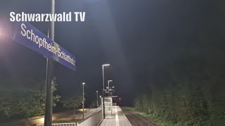 🚨🚔 Tötungsdelikt in Todtnau  Festnahme in Schopfheim  Livestream 29092024 [upl. by Llevram485]