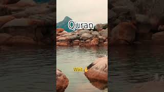 The Science Behind Surah Anbiya Ayat 31 shortsfeed surahanbiya surah [upl. by Devaj533]