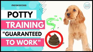 Step by step guide To POTTY 💩 Train Your Puppy 🐶 easily II Puppy Training tips II [upl. by Sami]