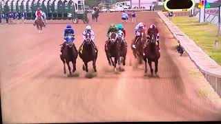 Dornoch WINS The 2024 Haskell Stakes [upl. by Loy]