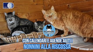 ORDINA IL CALENDARIO E L’AGENDA OIPA 2024 AIUTERAI I “NONNINI” DELL’OASI FELINA DELL’OIPA DI GELA [upl. by Rekcut]