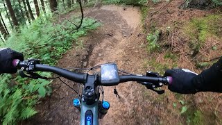 Dalby Forrest MTB Downhills Is it beginer friendly [upl. by Masson]