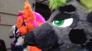 Anthro New England 2020 Vlog [upl. by Vasily]