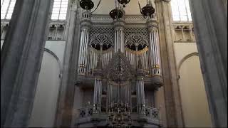 quotJERUSALEM DU HOCHGEBAUTE STADTquot 🎹 Bätz Orgel 1831 DOMKERK UTRECHT [upl. by Cherrita510]