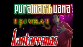 EXITOS PURA MARIHUANA LO MEJOR DJ VELA [upl. by Ellicott]