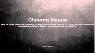 Medical vocabulary What does Cisterna Magna mean [upl. by Bulley]