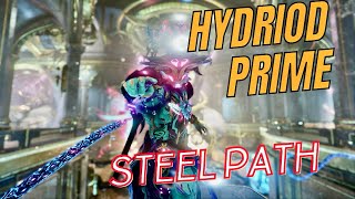 Hydroid prime build Warframe [upl. by Foah]