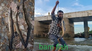 bam fish bahut badhiya shikar Imran fish hunter [upl. by Aidas215]