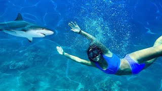 SWiMMiNG WiTH SHARKS LiLEES BiRTHDAY WISH GONE WRONG🦈😱 [upl. by Notwal]