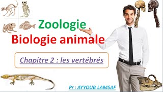 Biologie animale  zoologie chapitre  les vertébrés [upl. by Nelag967]