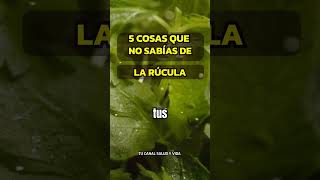 5 RAZONES PARA COMER RÚCULA alimentossaludables  sabiasque rucula [upl. by Aikahs]