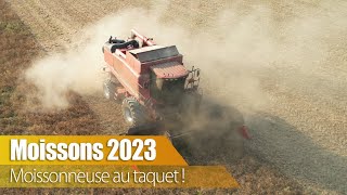 Moissons 2023  La moissonneuse au taquet [upl. by Nnybor783]