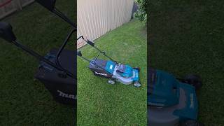 Makita 36v 460mm Lawnmower on My Putting Green [upl. by Atronna]