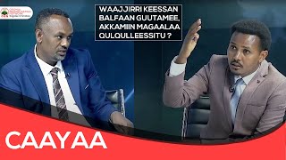 Caayaa Kantiibaa Magaalaa Nageellee Arsii waliin [upl. by Aizahs]