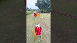 football accuracy and a whole lot of fun [upl. by Alemahs]