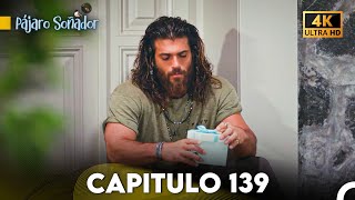 Pájaro Soñador Capítulo 139 Doblado En Español 4K [upl. by Blim]