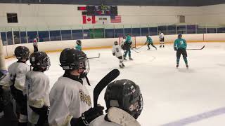 2019 03 01 B Div Sabres 5 Cougars 4 [upl. by Rockie]