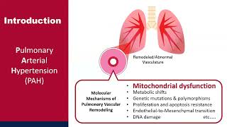 Mitochondria as a primary determinant of angiogenic modality in pulmonary arterial hypertension [upl. by Adnarim]